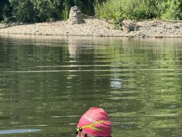 Mainschwimmen Juni 2026